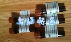 CAS 62669-70-9  罗丹明123 Rhodamine 123